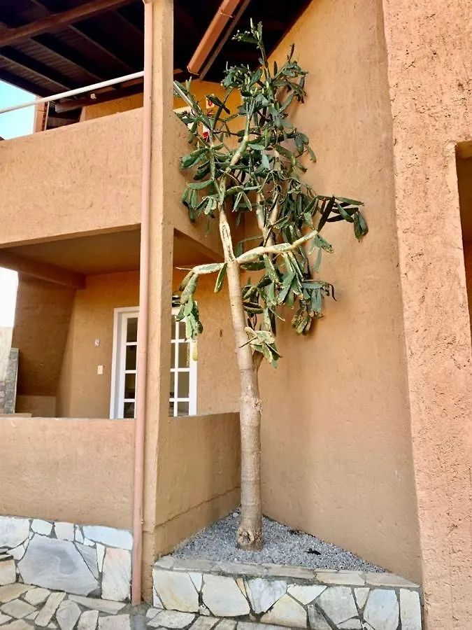 بيت ضيافة فندق Sol Mar برايا دو روزا